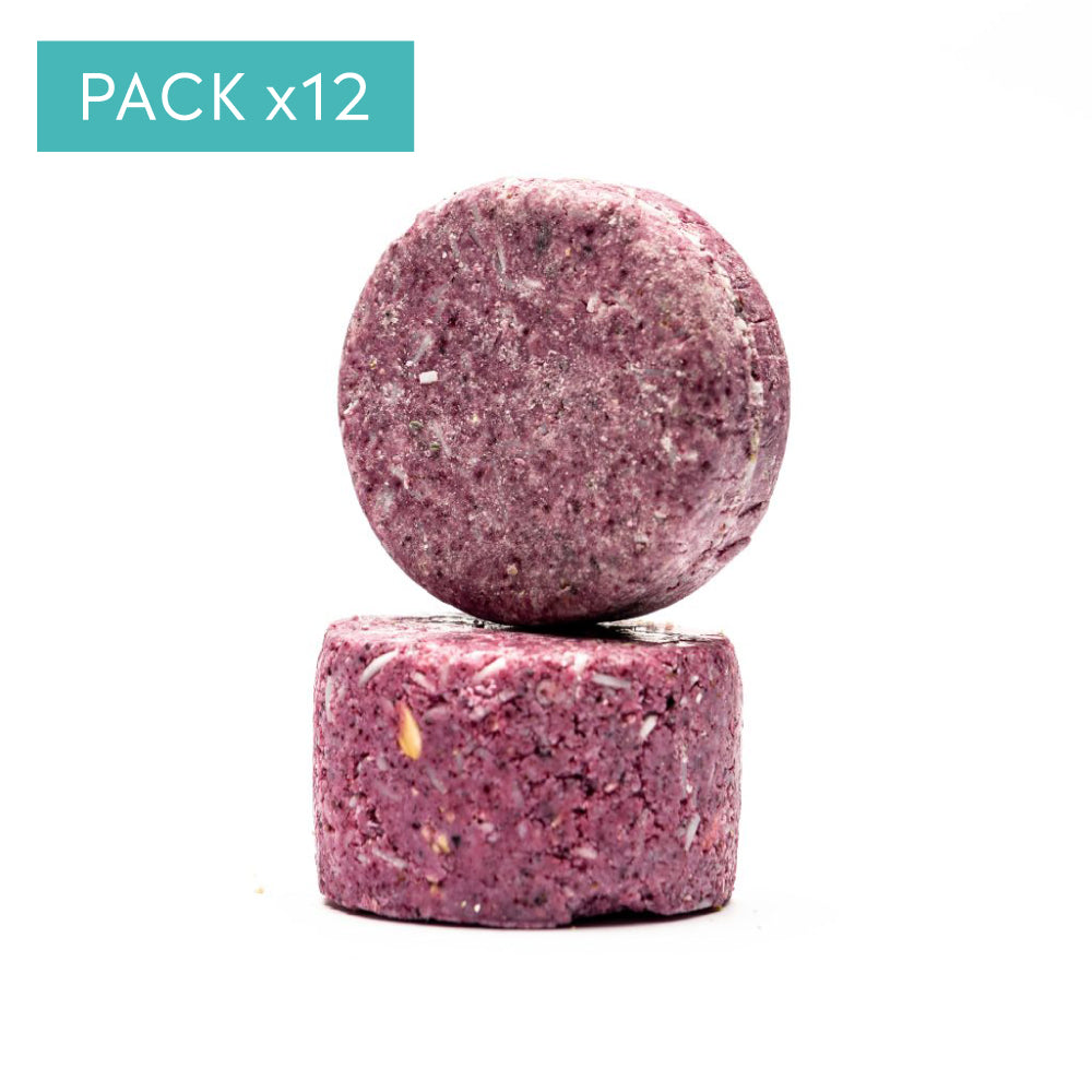 Pack 12 Unidades - Shampoo Maqui Antioxidante (80g)