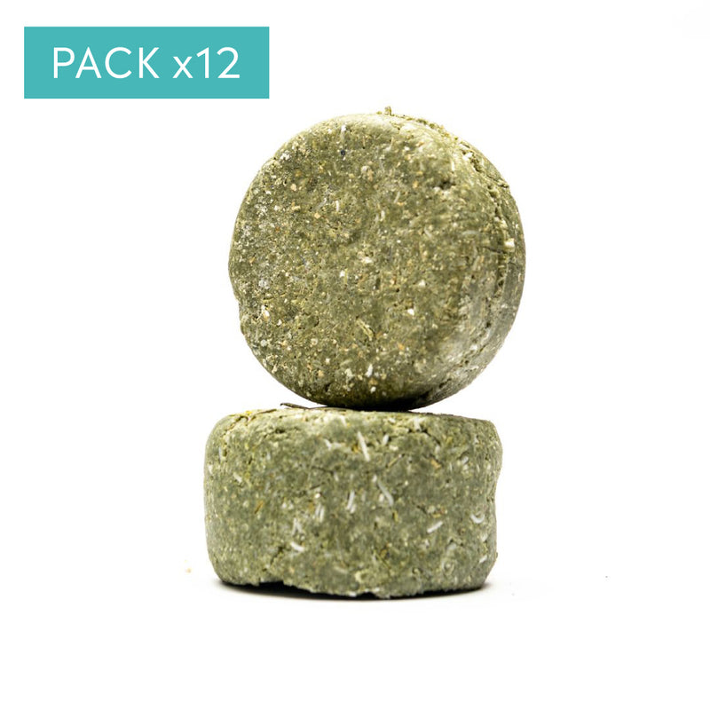 Pack x12 Shampoo sólido Menta Romero 80 grs